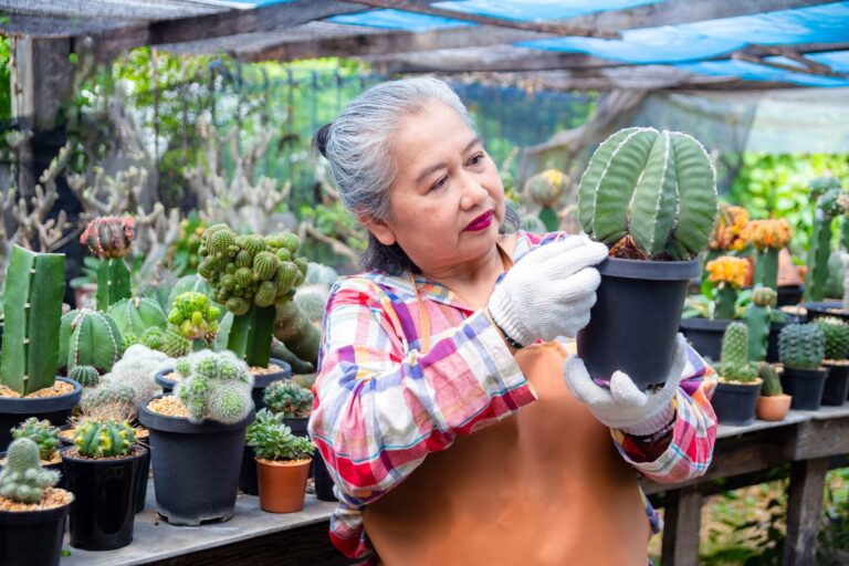 Easy Indoor Gardening for Seniors: Bringing Nature into Your Home