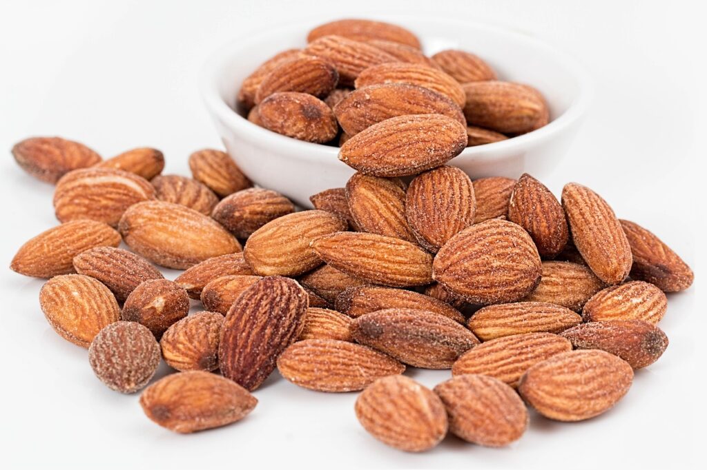 Nutrition Essentials for Seniors: Feeding Your Body Right