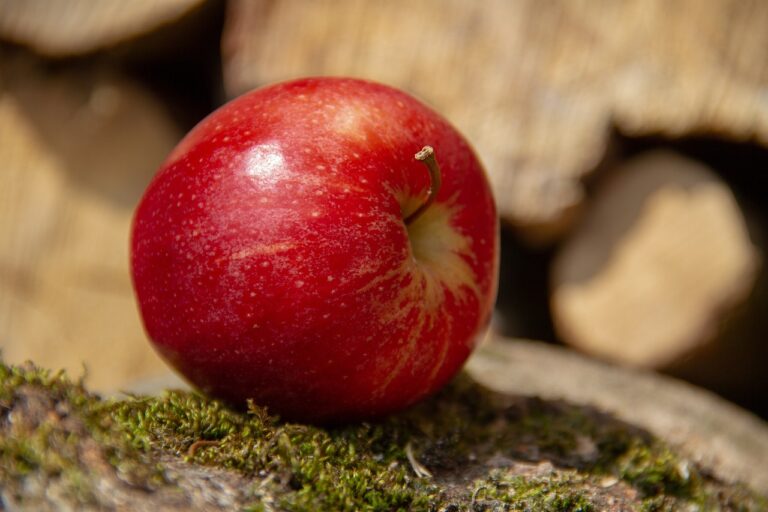 How to Improve Digestion with Fiber-Rich Foods