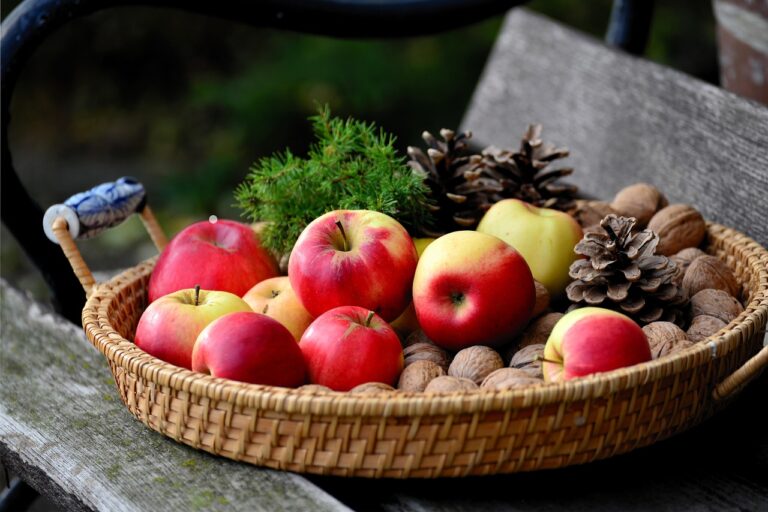 Free Fruits and Nuts Nutritional Tool